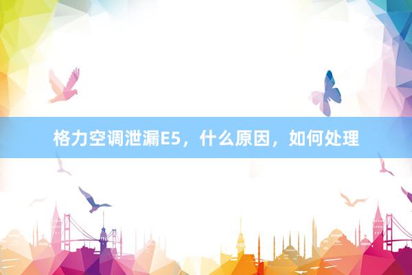 格力空调泄漏E5，什么原因，如何处理